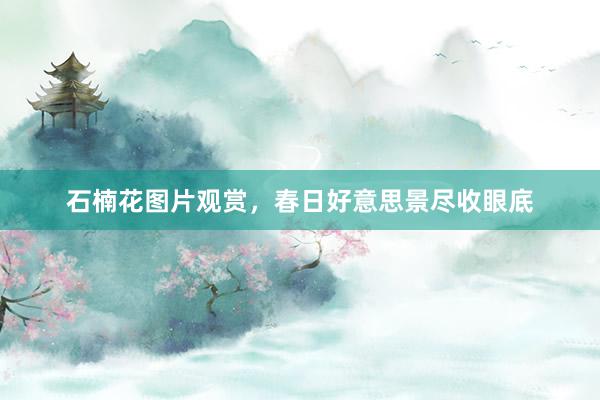 石楠花图片观赏，春日好意思景尽收眼底