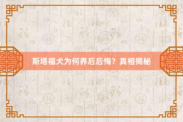 斯塔福犬为何养后后悔？真相揭秘
