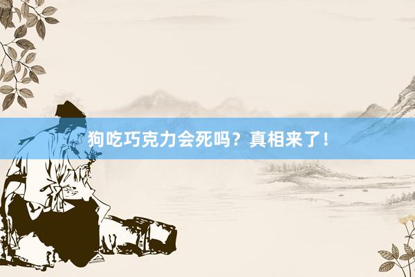 狗吃巧克力会死吗？真相来了！